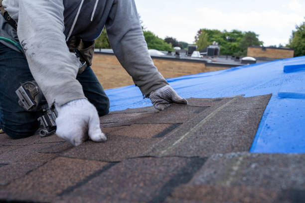 Best Roof Moss and Algae Removal  in San Anselmo, CA
